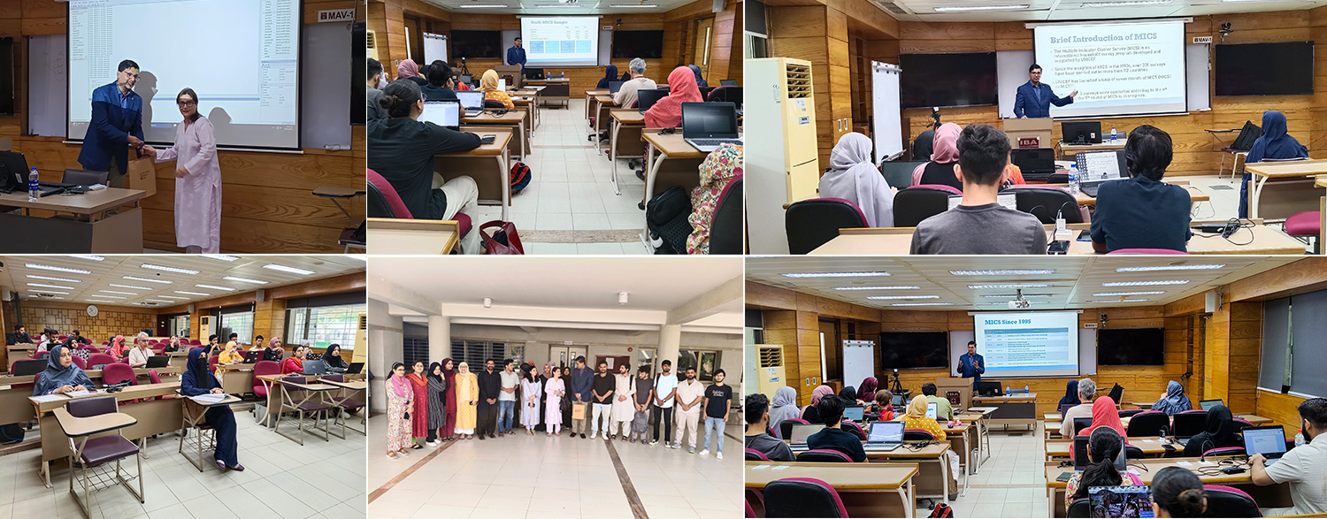 Exploring the Structure & Scope of MICS Data